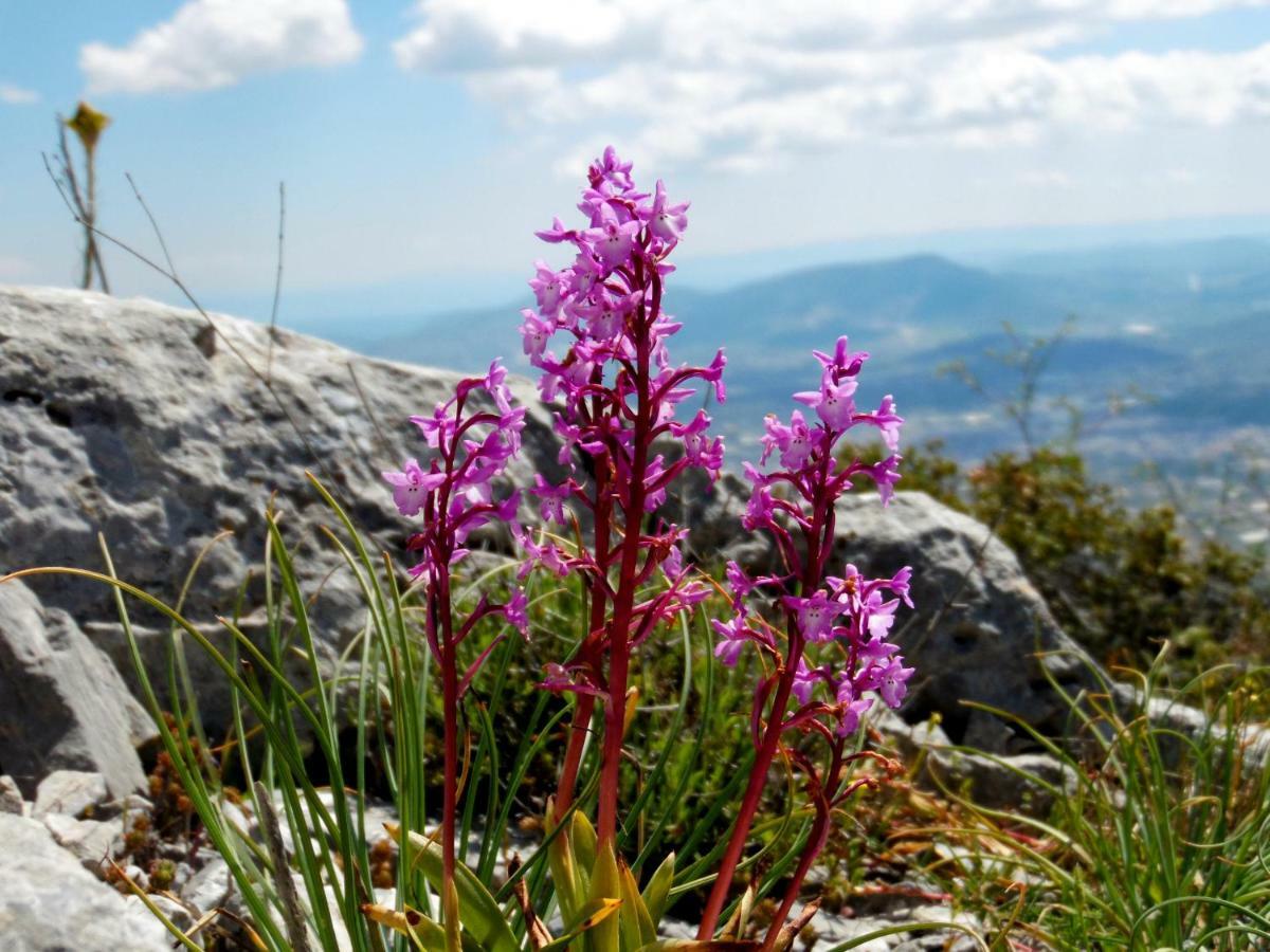 Villa Kalliopi Koutsounári Luaran gambar